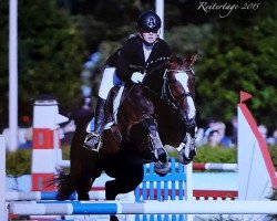 jumper German Kleinigkeit (Hanoverian, 2010, from Granturo)