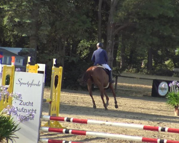 Reitturnier Waltrop 2019