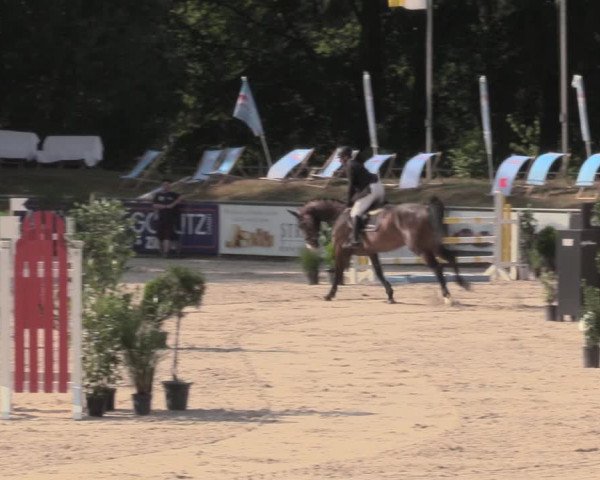 Reitturnier Görlitz 2019