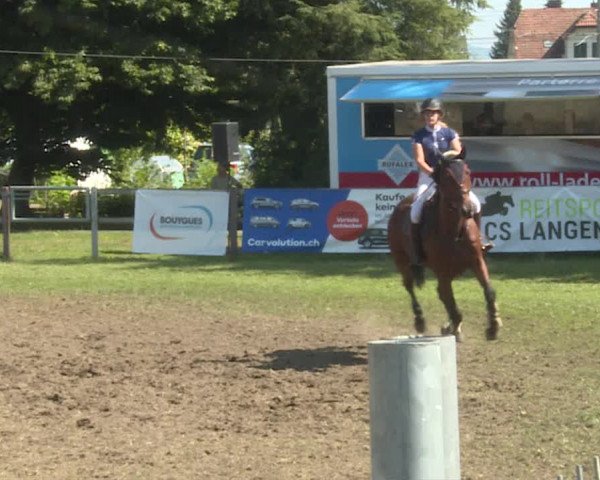 Reitturnier Langenthal 2019