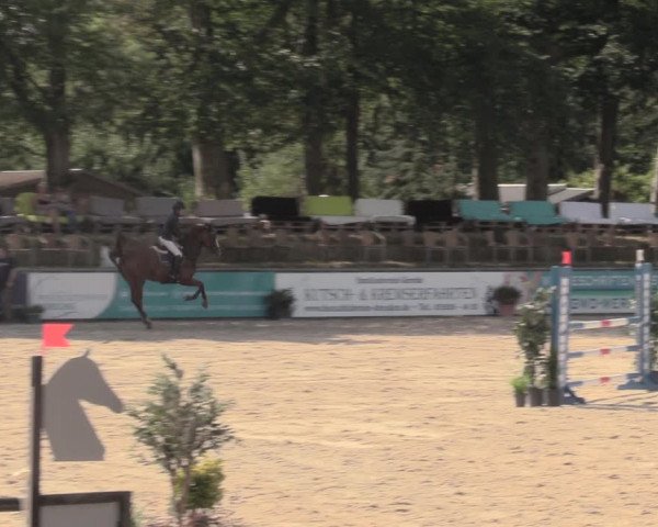 Reitturnier Görlitz 2019