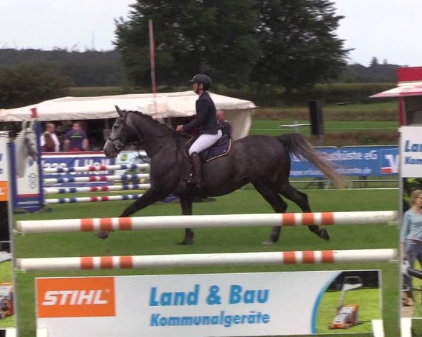 Reitturnier Behrendorf 2019