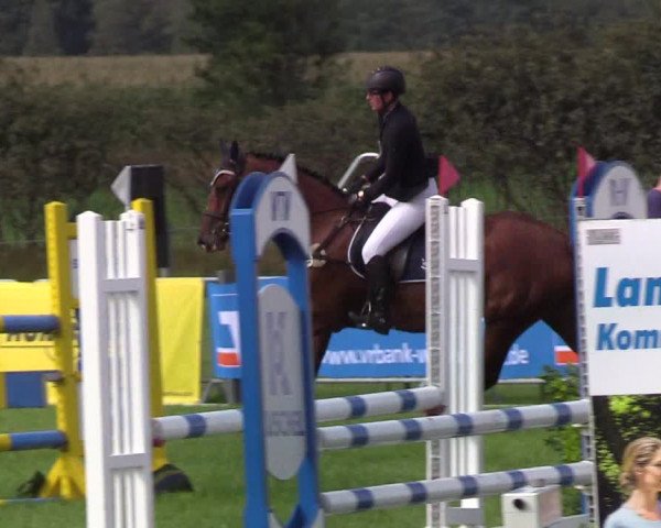 Reitturnier Behrendorf 2019
