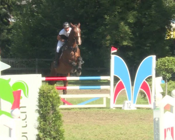 Reitturnier Langenthal 2019