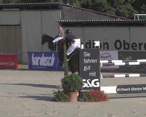 Reitturnier Oberderdingen 2019