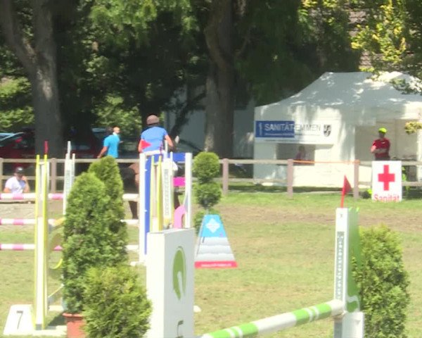 Reitturnier Langenthal 2019