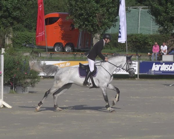 Reitturnier Oberderdingen 2019