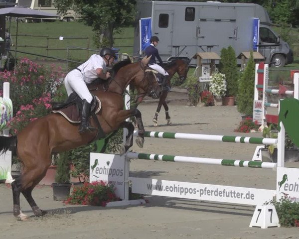 Reitturnier Oberderdingen 2019