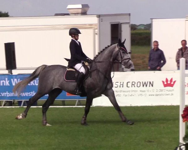 Reitturnier Behrendorf 2019