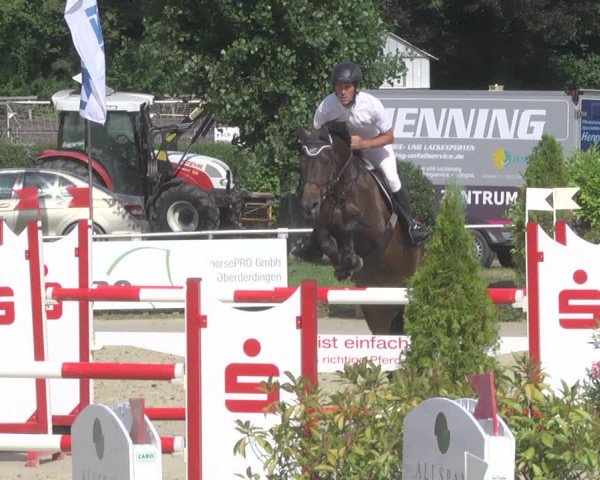 Reitturnier Oberderdingen 2019