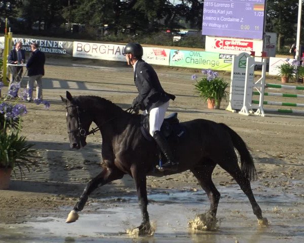 Reitturnier Waltrop 2019