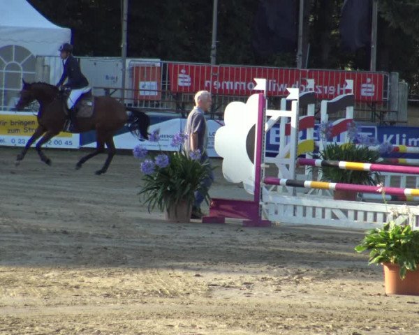 Reitturnier Waltrop 2019