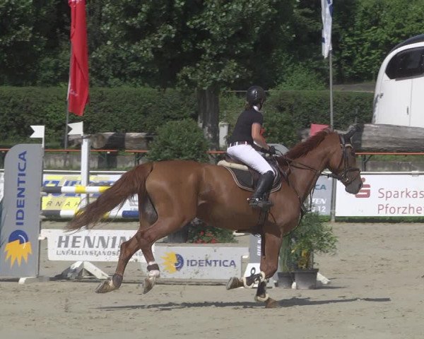 Reitturnier Oberderdingen 2019