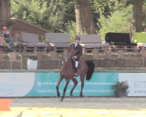 Reitturnier Görlitz 2019