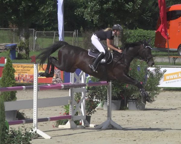 Reitturnier Oberderdingen 2019