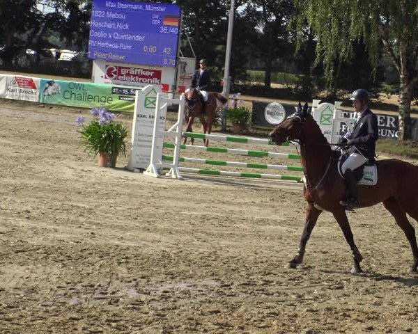 Reitturnier Waltrop 2019