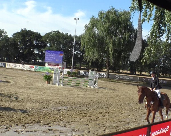 Reitturnier Waltrop 2019