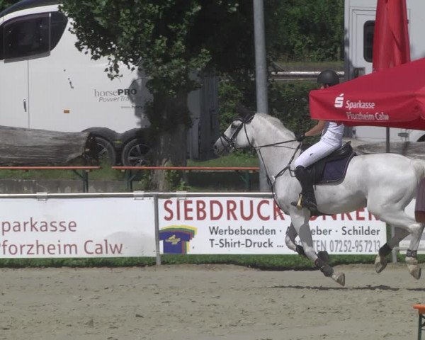 Reitturnier Oberderdingen 2019