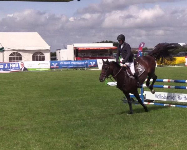 Reitturnier Behrendorf 2019