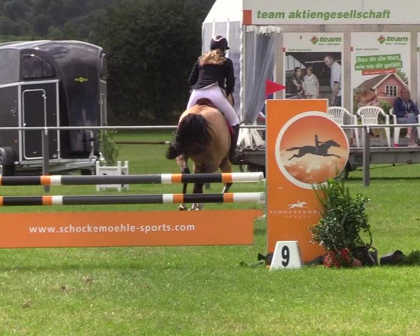 Reitturnier Behrendorf 2019