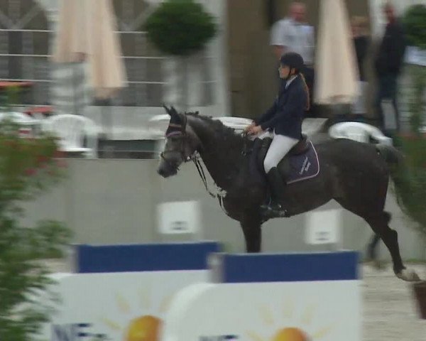 Reitturnier Grafenrheinfeld 2019