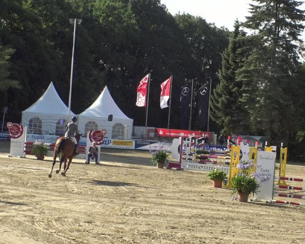 Reitturnier Waltrop 2019