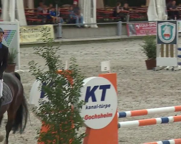 Reitturnier Grafenrheinfeld 2019