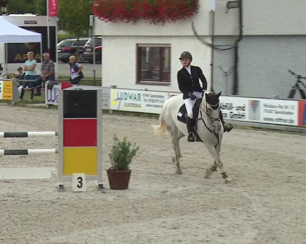 Reitturnier Grafenrheinfeld 2019