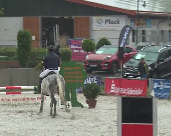 Reitturnier Grafenrheinfeld 2019