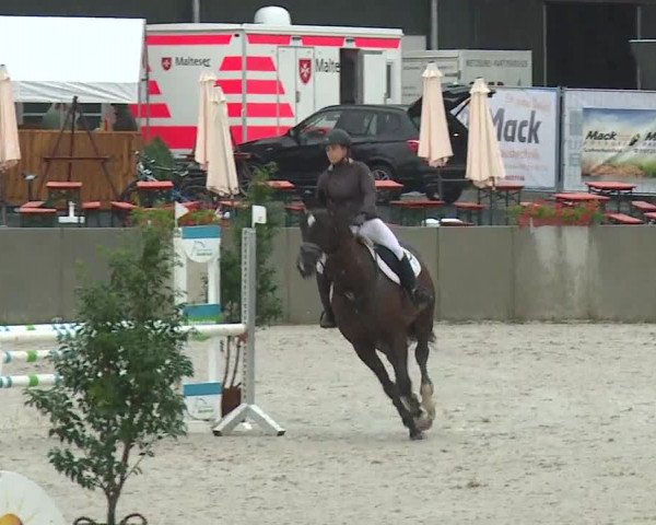 Reitturnier Grafenrheinfeld 2019
