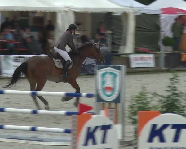 Reitturnier Grafenrheinfeld 2019