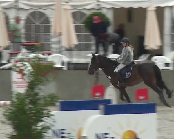 Reitturnier Grafenrheinfeld 2019