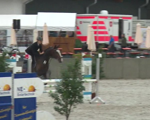 Reitturnier Grafenrheinfeld 2019