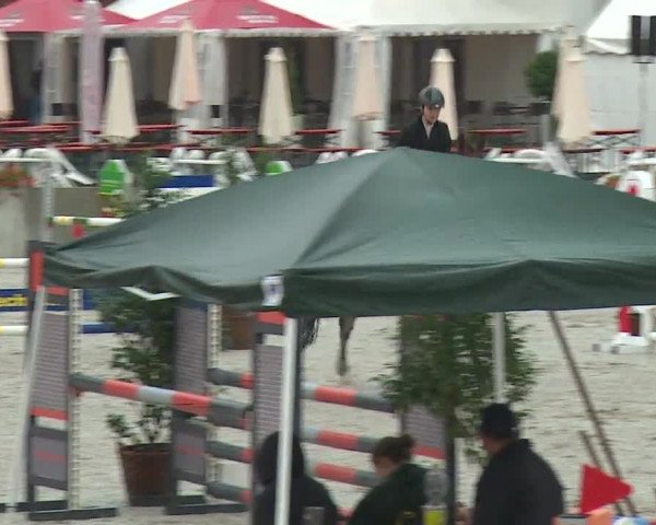 Reitturnier Grafenrheinfeld 2019
