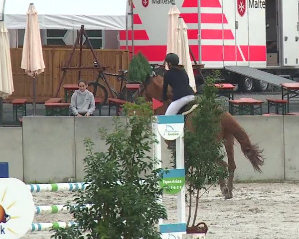 Reitturnier Grafenrheinfeld 2019