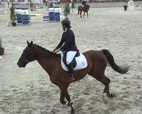 Reitturnier Grafenrheinfeld 2019