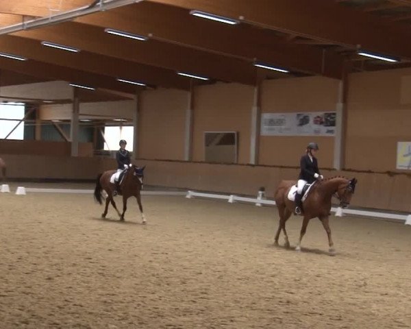 Reitturnier Grafenrheinfeld 2019