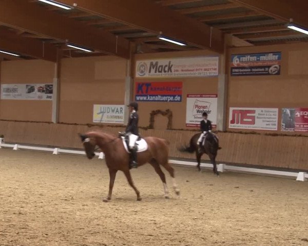 Reitturnier Grafenrheinfeld 2019