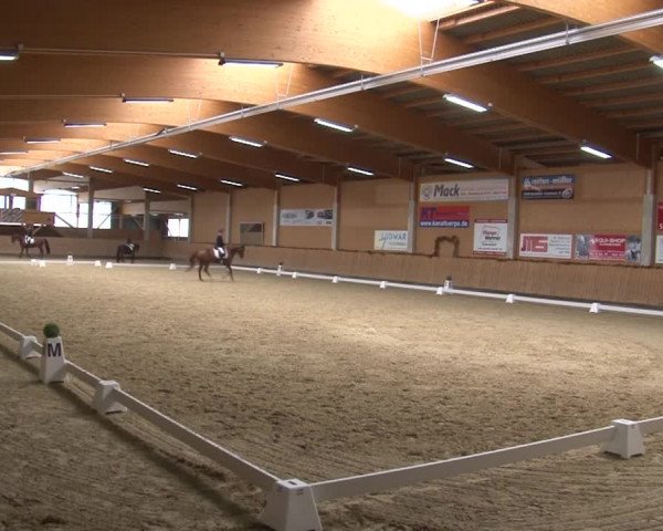 Reitturnier Grafenrheinfeld 2019