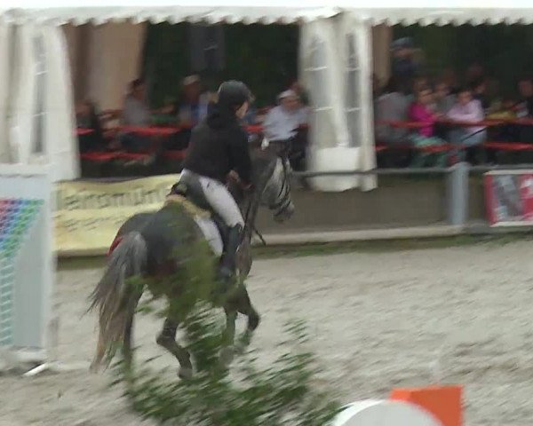 Reitturnier Grafenrheinfeld 2019
