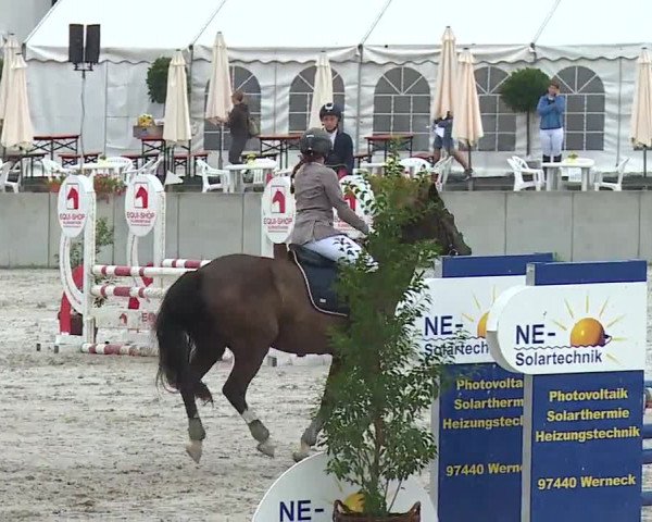 Reitturnier Grafenrheinfeld 2019