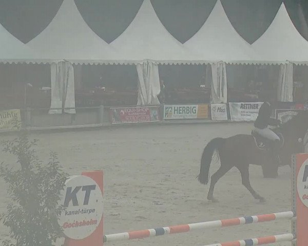 Reitturnier Grafenrheinfeld 2019