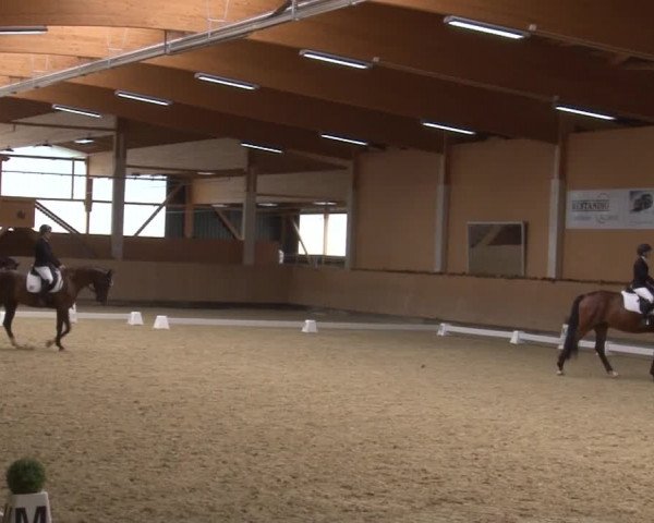 Reitturnier Grafenrheinfeld 2019