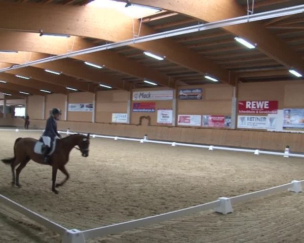 Reitturnier Grafenrheinfeld 2019