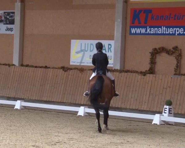 Reitturnier Grafenrheinfeld 2019