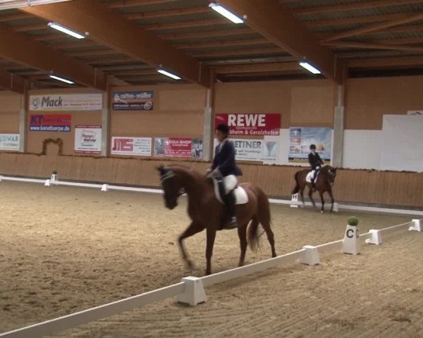 Reitturnier Grafenrheinfeld 2019