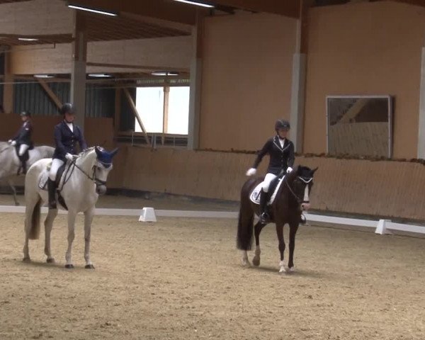Reitturnier Grafenrheinfeld 2019