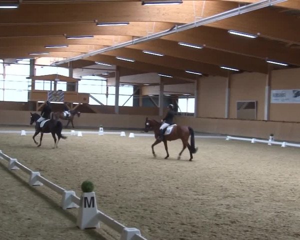 Reitturnier Grafenrheinfeld 2019