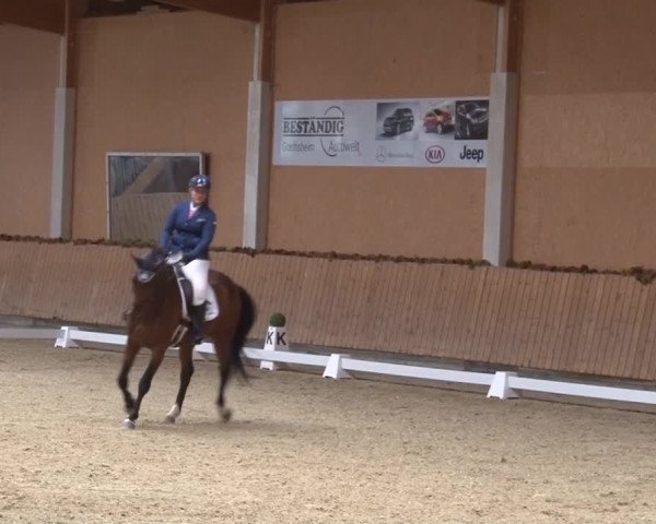 Reitturnier Grafenrheinfeld 2019