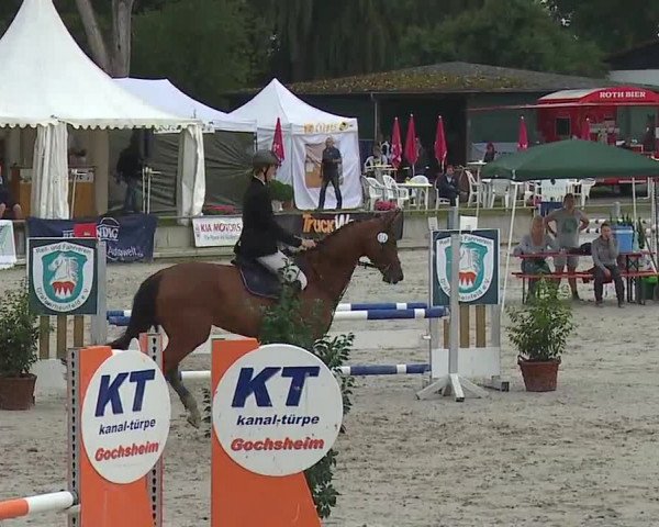 Reitturnier Grafenrheinfeld 2019